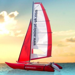 Mini Catamaran